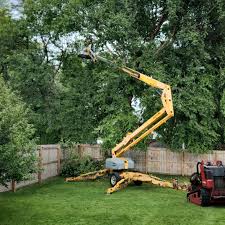 Best Arborist Consultation Services  in Ridgeland, SC